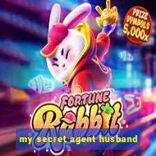 my secret agent husband